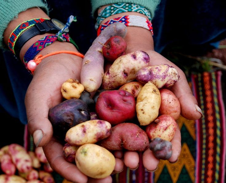 Native Agriculture